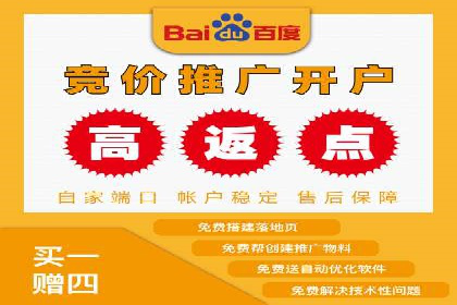 SEM推广优化实战：案例分析与启示